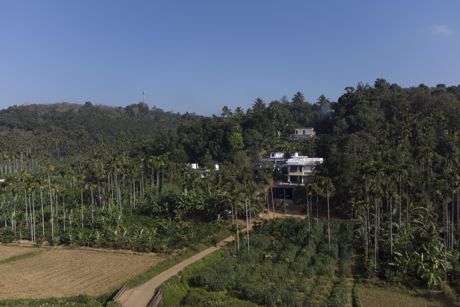 Drone view of property